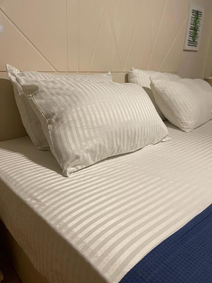 亚历山大港Alexander House公寓 外观 照片